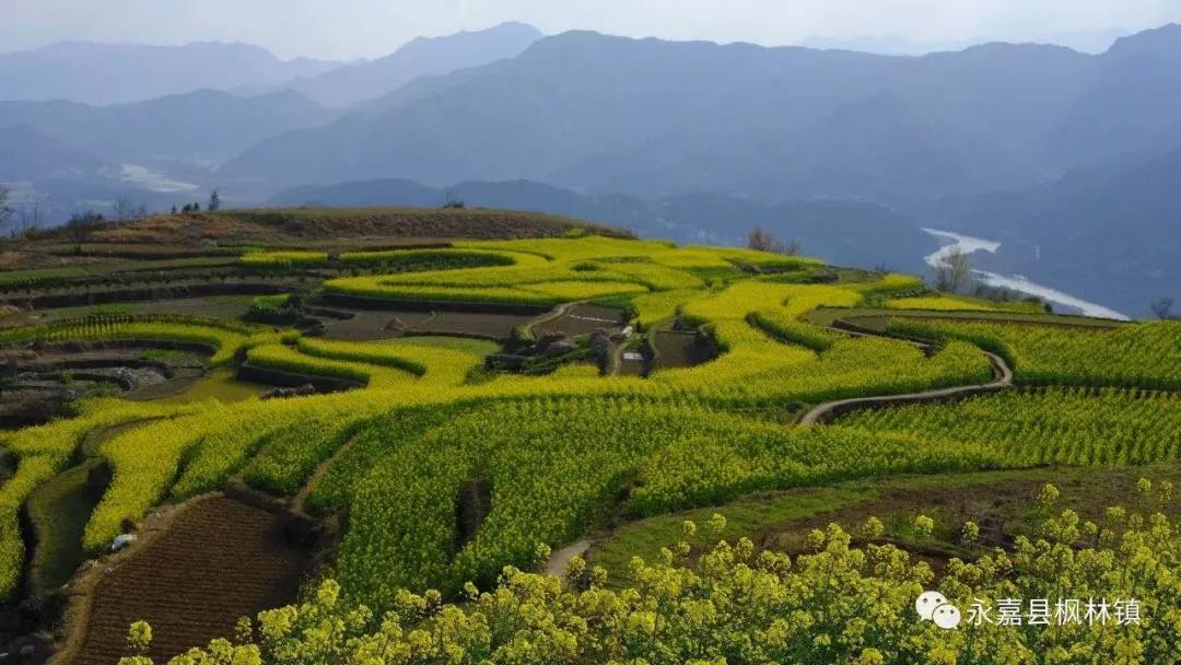 1574992880759424.jpg 1574992880759424.jpg