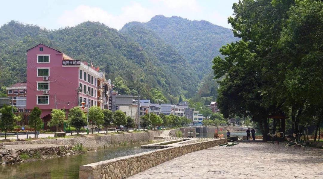 1574993010970065.jpg 1574993010970065.jpg