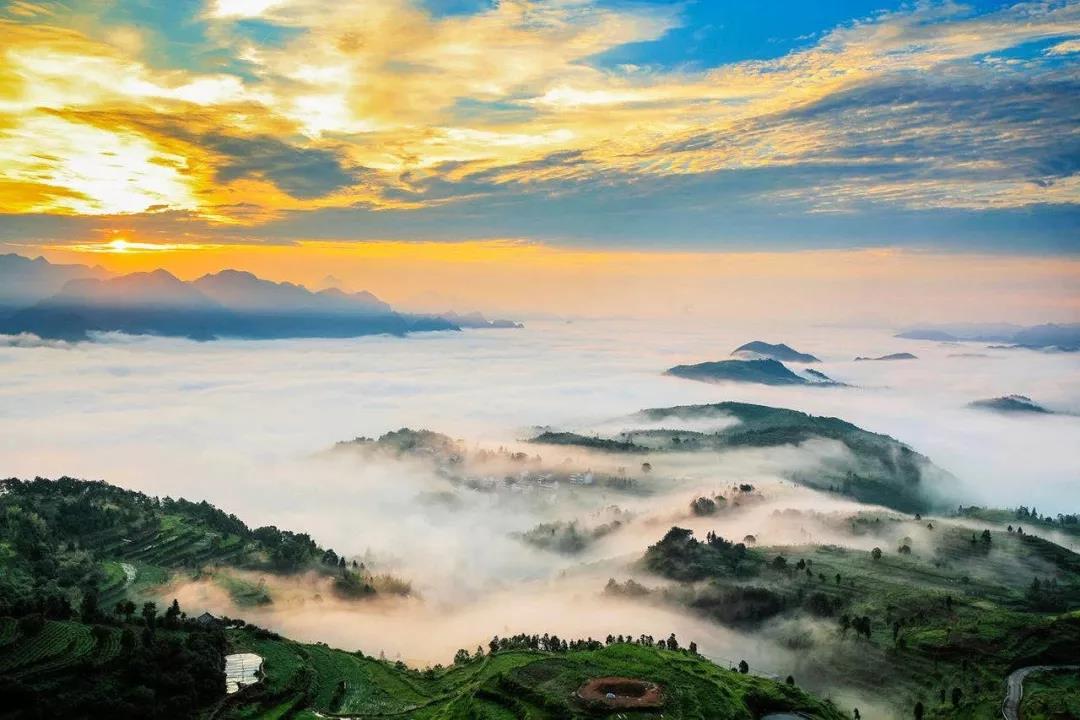 1574993144730765.jpg 1574993144730765.jpg